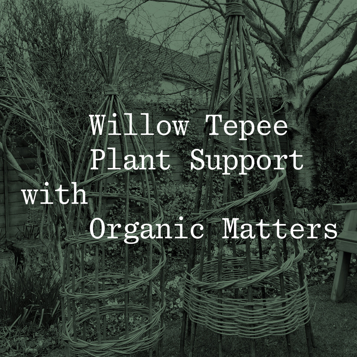 Make a Willow Tepee Plant Support | Makers Yard